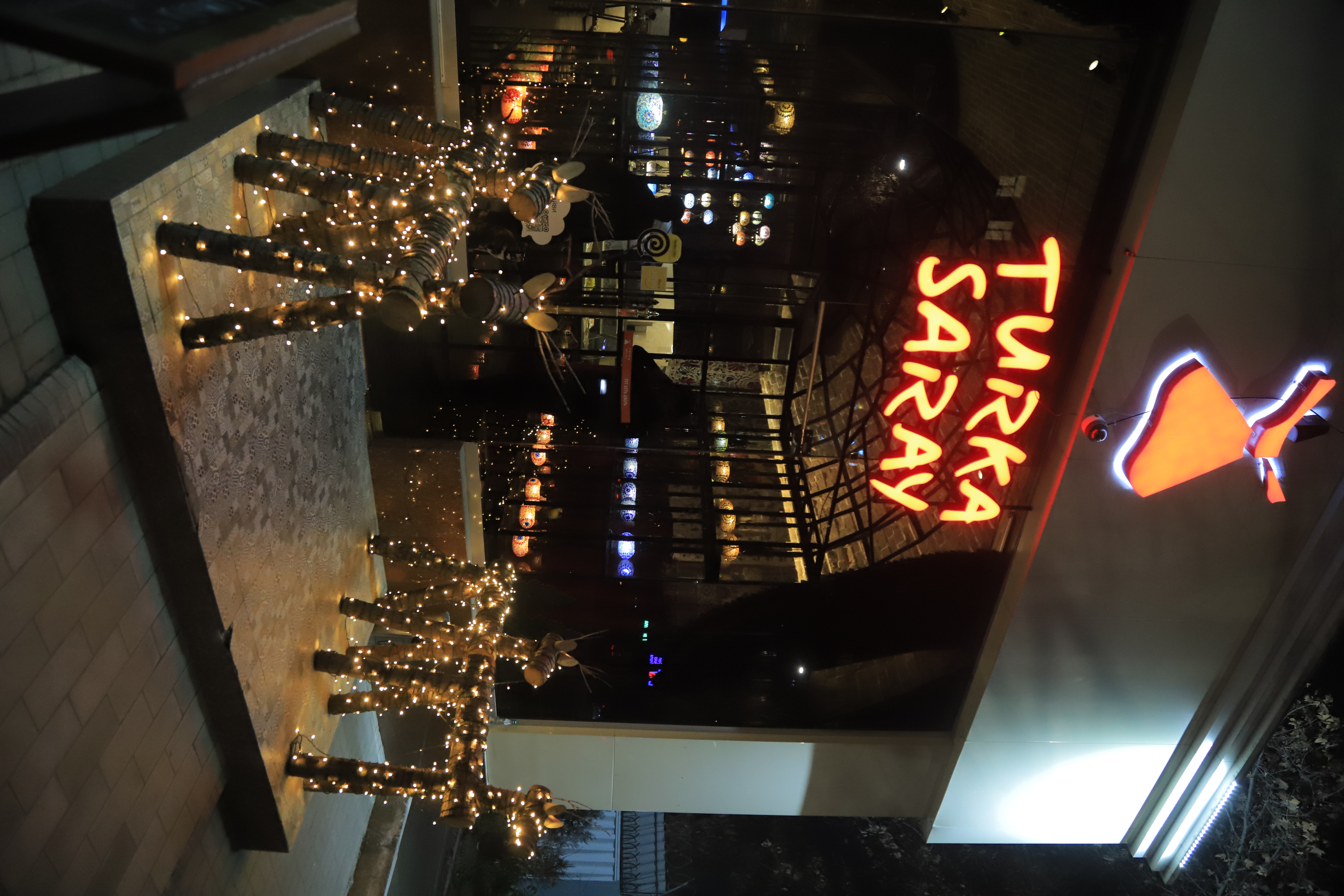 Turka Saray 1